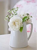 AMANDA KNOX HOUSE  GRANTHAM: THE WHITE SITTING ROOM - SIMPLE CERAMIC JUG WITH WHITE ROSES FROM THE GARDEN