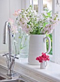 AMANDA KNOX HOUSE  GRANTHAM: WHITE KITCHEN - WHITE JUGS WITH SWEET PEAS AND DELPHINIUMS IN WINDOWSILL BY SINK