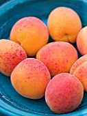 CHANTAL COADY HOUSE - A BLUE GLAZED BOWL OF PEACHES AT BREAKFAST ON THE ROOF TERRACE