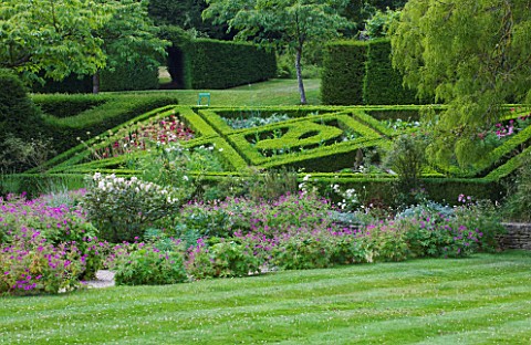 ASTHALL_MANOR__OXFORDSHIRE_PARTERRE_ON_SLOPE_PLANTED_WITH_ALLIUMS_AND_ANNUALS_IN_SUMMER