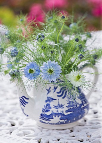 THE_GARDEN_AND_PLANT_COMPANY__HATHEROP_CASTLE__CIRENCESTER__GLOUCESTERSHIRE_TEAPOT_WITH_NIGELLA_ON_W