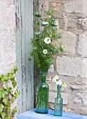 THE GARDEN AND PLANT COMPANY  HATHEROP CASTLE  CIRENCESTER  GLOUCESTERSHIRE: GLASS BOTTLES WITH NIGELLA AND SWEET PEA JILLY