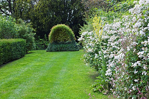 ASTHALL_MANOR__OXFORDSHIRE_LAWN_SURROUNDED_BY_ROSES_WITH_LIVING_WILLOW_SEAT