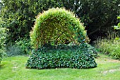 ASTHALL MANOR  OXFORDSHIRE: LIVING WILLOW SEAT