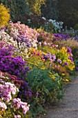 WATERPERRY GARDENS  OXFORDSHIRE: VIEW OF THE LONG BORDER AT DAWN IN AUTUMN