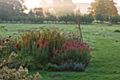 WATERPERRY GARDENS  OXFORDSHIRE: DAWN LIGHT ON BORDER WITH PENSTEMONS AND CROCOSMIA WITH COUNTRYSIDE BEYOND