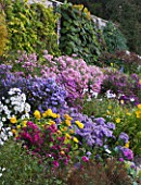 WATERPERRY GARDENS  OXFORDSHIRE: THE MAIN BORDER IN AUTUMN WITH ASTERS