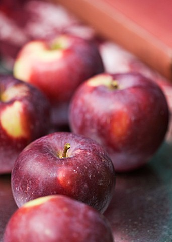 APPLES__MALUS_SPARTAN__RHS_LONDON_AUTUMN_HARVEST_SHOW_2011_STYLING_BY_JACKY_HOBBS