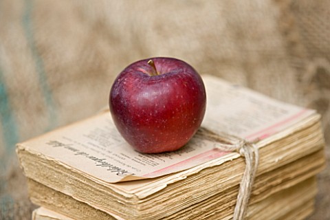 APPLE__MALUS_SPARTAN__RHS_LONDON_AUTUMN_HARVEST_SHOW_2011_STYLING_BY_JACKY_HOBBS
