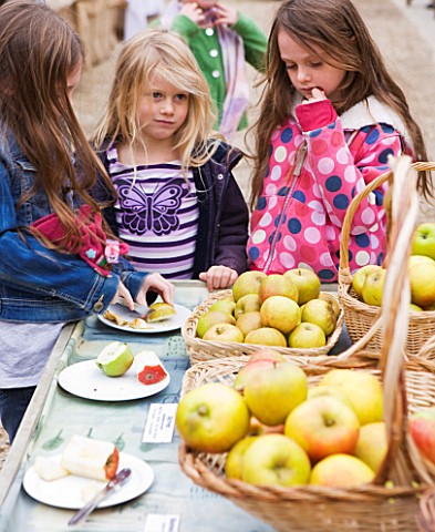 APPLE_TASTING__WATERPERRY_APPLE_DAY_EVENT__WATERPERRY_GARDENS__OXFORDSHIRE