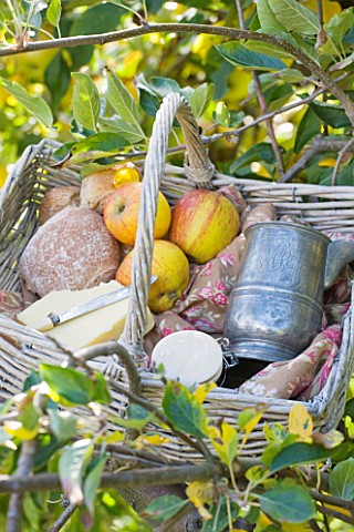 LUNCH_HAMPER_WITH_CHEESE__APPLES_AND_BREAD_IN_THE_ORCHARD__WATERPERRY_APPLE_DAY_EVENT__WATERPERRY_GA