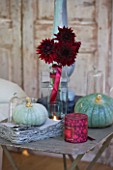 JACKY HOBBS HOUSE  LONDON: DECORATIVE AUTUMN DISPLAY OF QUEENSLAND BLUE PUMPKINS WITH VASE OF RED/BLACK DAHLIA BLACK WIZARD