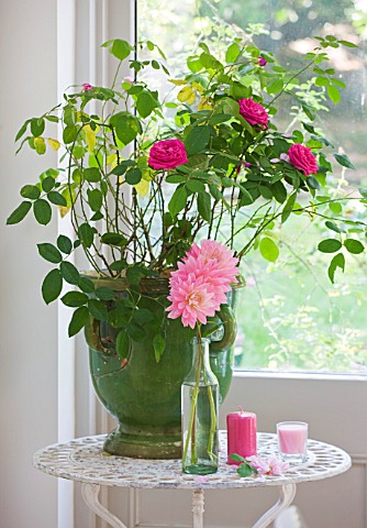 JACKY_HOBBS_HOUSE__LONDON_VINTAGE_FRENCH_BOTTLE_VASE_OF_PINK_DAHLIA_GAY_PRINCESS_WITH_PINK_CANDLES_A
