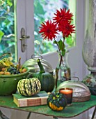 JACKY HOBBS HOUSE  LONDON: DECORATIVE DISPLAY OF RED DAHLIAS SCARLET STAR  IN BOTTLE VASE WITH SEASONAL SQUASH AND CANDLE