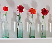 JACKY HOBBS HOUSE  LONDON: DISPLAY OF FIERY RED DAHLIAS IN ROW OF VINTAGE GLASS BOTTLES ON MANTELPIECE ABOVE FIRE