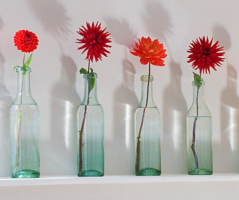 JACKY_HOBBS_HOUSE__LONDON_DISPLAY_OF_FIERY_RED_DAHLIAS_IN_ROW_OF_VINTAGE_GLASS_BOTTLES_ON_MANTELPIEC