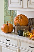 JACKY HOBBS HOUSE  LONDON: AUTUMNAL FRUITS; PUMPKINS AND SQUASH IN THE KITCHEN