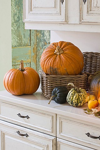 JACKY_HOBBS_HOUSE__LONDON_AUTUMNAL_FRUITS_PUMPKINS_AND_SQUASH_IN_THE_KITCHEN