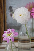 JACKY HOBBS HOUSE  LONDON: DAHLIAS TWILIGHT TIME AND DAHLIA FLANIGAN WHITE IN GLASS BOTTLES ON DRESSING TABLE BY MIRROR
