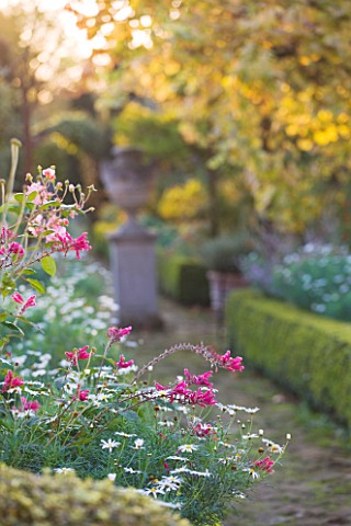 SALING_HALL__ESSEX_AUTUMN_BORDER_LIT_BY_EVENING_SUN_WITH_URN_ON_PLINTH_BEHIND