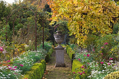 SALING_HALL__ESSEX_BOX_EDGED_BORDERS_ALONG_PATH_IN_AUTUMN_WITH_PERGOLA__VINE_AND_STONE_URN_ON_PLINTH