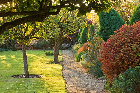 SALING_HALL__ESSEX_VIEW_ALONG_PATH_IN_WALLED_GARDEN_TO_WHITE_METAL_SEAT_PAST_APPLE_TREES_IN_AUTUMN__
