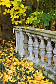 SALING HALL  ESSEX: STONE BALUTRADE SURROUNDED BY LEAVES OF ACER CAPPADOCCIUM (CAUCASIAN MAPLE) IN AUTUMN