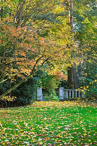 SALING_HALL__ESSEX_AUTUMNAL_VIEW_TO_STONE_BALUSTRADE_SURROUNDED_BY_LEAVES_OF_ACER_CAPPADOCCIUM_CAUCA