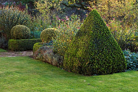 SALING_HALL__ESSEX_THE_WALLED_GARDEN_IN_THE_EVENING_WITH_CLIPPED_BOX_HEDGES_AND_PYRAMID