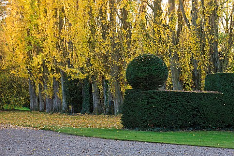 SALING_HALL__ESSEX_VIEW_FROM_THE_FRONT_DOOR_OF_THE_HOUSE_PAST_YEW_HEDGES_IN_AUTUMN
