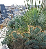 ROOF GARDEN AT THE HOLIDAY INN  RUE DANTON  PARIS: DESIGNERS ERIC OSSART AND ARNAUD MAURIERES:
