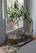 ROQUELIN  LOIRE VALLEY  FRANCE: KITCHEN; DECORATIVE BIRD CAGE WITH NEST AND MISTLETOE