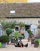 ROQUELIN  LOIRE VALLEY  FRANCE: TRADITIONAL  RESTORED LOIRE VALLEY FARMHOUSE WITH DECORATIVE COURTYARD GARDEN WHERE CHICKENS RUN FREE