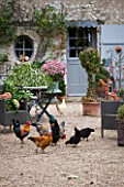 ROQUELIN  LOIRE VALLEY  FRANCE: TRADITIONAL  RESTORED LOIRE VALLEY FARMHOUSE WITH DECORATIVE COURTYARD GARDEN WHERE CHICKENS RUN FREE