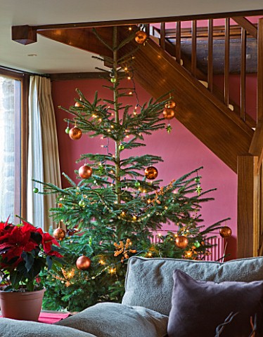 RICKYARD_BARN__OXFORDSHIRE_CHRISTMAS__LIVING_ROOM__CHRISTMAS_TREE