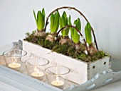WHITE HOUSE: BREAKFAST ROOM - WHITE WOODEN PLANTER OF WHITE HYACINTHS AND PUSSY WILLOW ON TRAY WITH GLASS TEA LIGHTS.