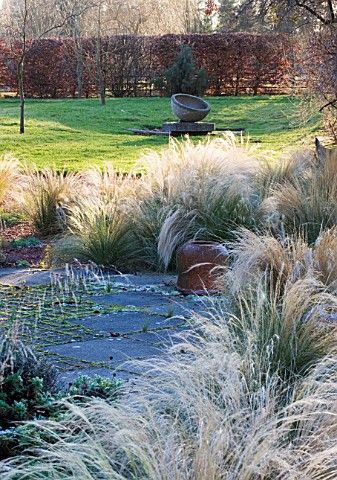 THE_MANOR_HOUSE__STEVINGTON__BEDFORDSHIRE_DESIGNER_KATHY_BROWN_THE_OLIVE_GROVE_IN_WINTER_WITH_STIPA_