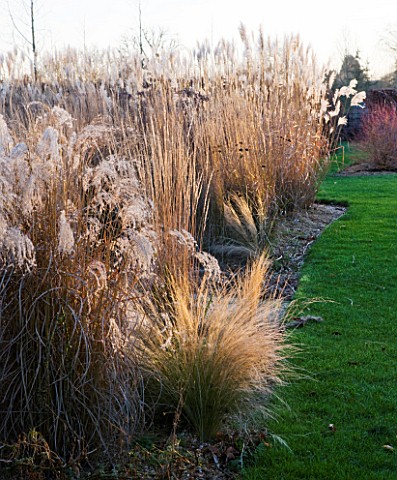 THE_MANOR_HOUSE__STEVINGTON__BEDFORDSHIRE_DESIGNER_KATHY_BROWN_THE_MONET_BORDERS_IN_WINTER