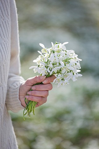HODSOCK_PRIORY__NOTTINGHAMSHIRE_GIRL_HOLDING_SNOWDROPS_IN_SNOWDROP_WOOD