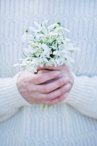 HODSOCK_PRIORY__NOTTINGHAMSHIRE_GIRL_WITH_WHITE__CREAM_JUMPER_OLDING_SNOWDROPS