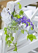 FISHING COTTAGE  KNEBWORTH PARK: STYLING BY JACKY HOBBS: WHITE WOODEN CHAIR BESIDE WITH GLASS FILLED WITH BLUEBELLS AND SPING FOLIAGE HANGING FROM BACK OF CHAIR