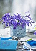 FISHING COTTAGE  KNEBWORTH PARK: STYLING BY JACKY HOBBS: TABLE ON JETTY BESIDE LAKE  WITH TABLE SETTING WITH BLUEBELLS IN METAL CONTAINER - SPRING