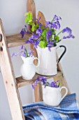FISHING COTTAGE  KNEBWORTH PARK: STYLING BY JACKY HOBBS: BLUEBELLS IN WHITE JUGS AND CONTAINERS ON WOODEN LADDER - SPRING