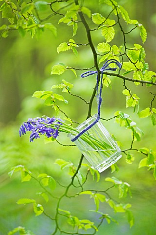 FISHING_COTTAGE__KNEBWORTH_PARK_STYLING_BY_JACKY_HOBBS_BLUEBELLS_IN_A_GLASS_JAR_TIED_TO_BEECH_TREE__