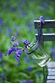 FISHING COTTAGE  KNEBWORTH PARK: STYLING BY JACKY HOBBS: BLUEBELLS IN A GLASS JAR TIED TO A BENCH IN WOODLAND - SPRING