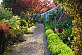GRANGE COURT  GUERNSEY: GRAVEL PATH WITH ORIGINAL GLASSHOUSE OR VINERY
