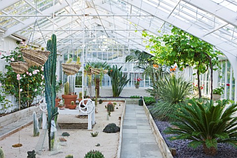 GRANGE_COURT__GUERNSEY_RESTORED_GLASSHOUSE_WITH_CACTUS_COLLECTION