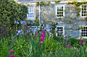 MILLE FLEURS  GUERNSEY: THE GRANITE HOUSE WITH DUTCH IRIS AND GLADIOLUS COMMUNIS BYZANTINUS