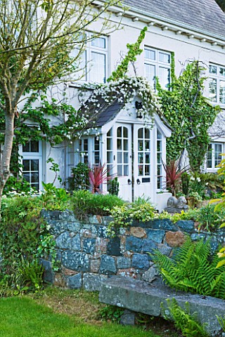 MILLE_FLEURS__GUERNSEY_WALL_IN_FRONT_OF_HOUSE_WITH_STONE_SEAT_BENCH_AND_FERNS