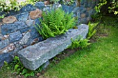 MILLE FLEURS  GUERNSEY: WALL IN FRONT OF HOUSE WITH STONE SEAT/ BENCH AND FERNS - A PLACE TO SIT